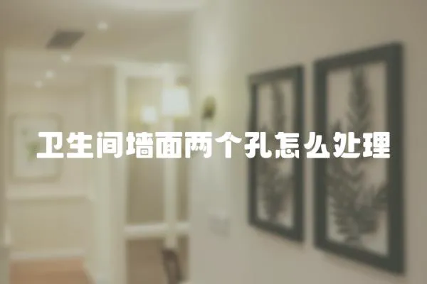 衛(wèi)生間墻面兩個孔怎么處理