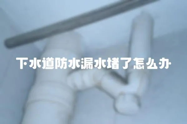 下水道防水漏水堵了怎么辦