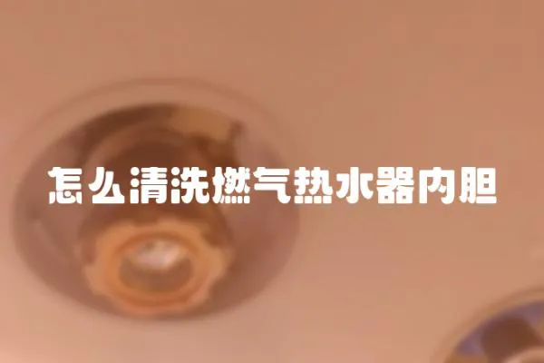 怎么清洗燃?xì)鉄崴鲀?nèi)膽