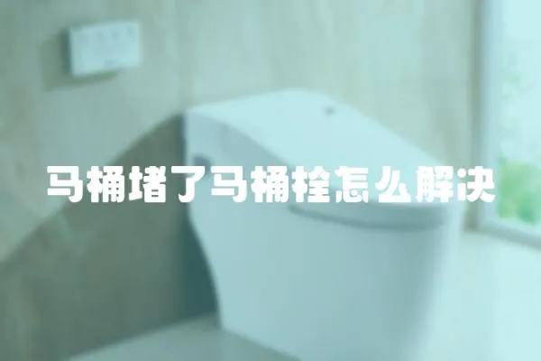 馬桶堵了馬桶栓怎么解決
