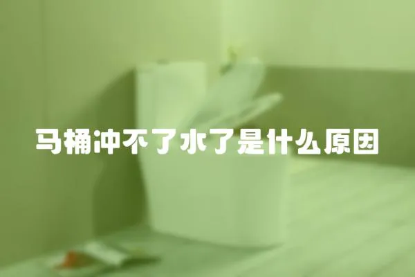 馬桶沖不了水了是什么原因