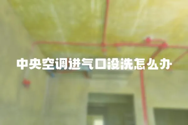 中央空調進氣口沒洗怎么辦