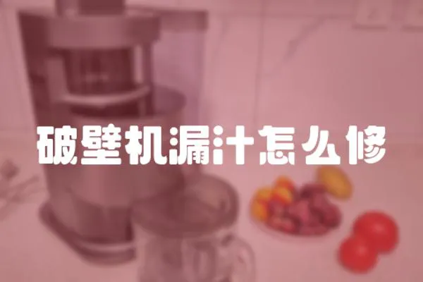 破壁機漏汁怎么修