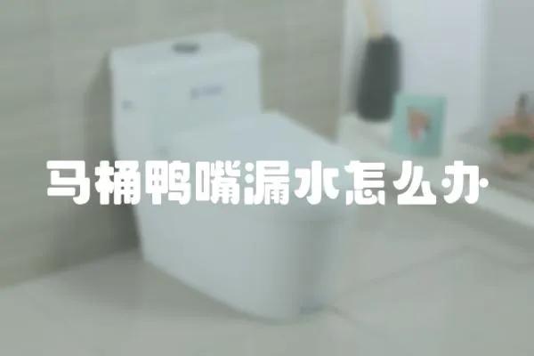 馬桶鴨嘴漏水怎么辦
