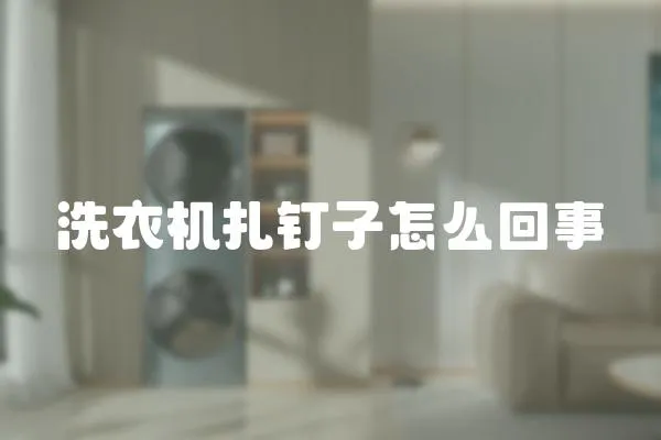 洗衣機扎釘子怎么回事