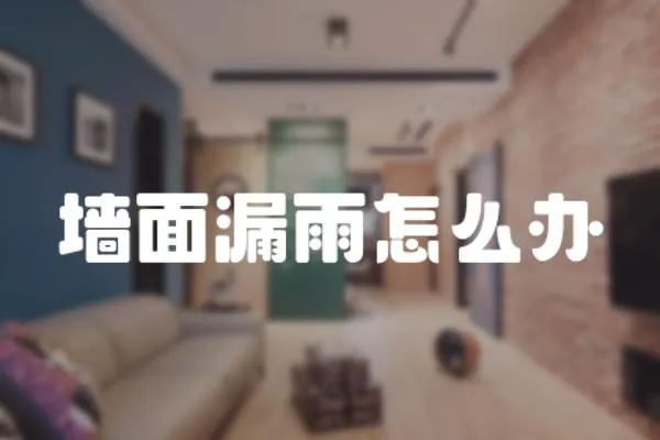 墻面漏雨怎么辦