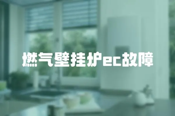燃氣壁掛爐ec故障