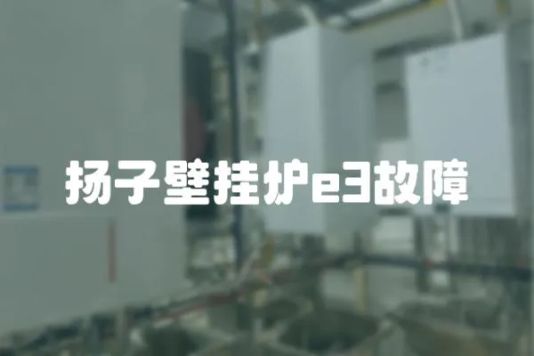揚子壁掛爐e3故障