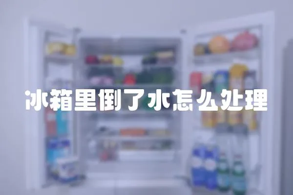 冰箱里倒了水怎么處理
