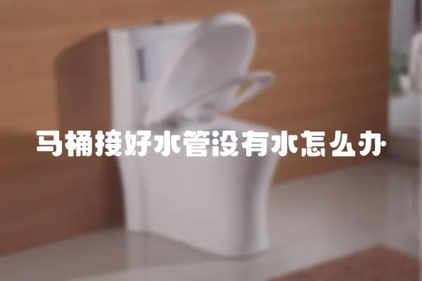 馬桶接好水管沒有水怎么辦