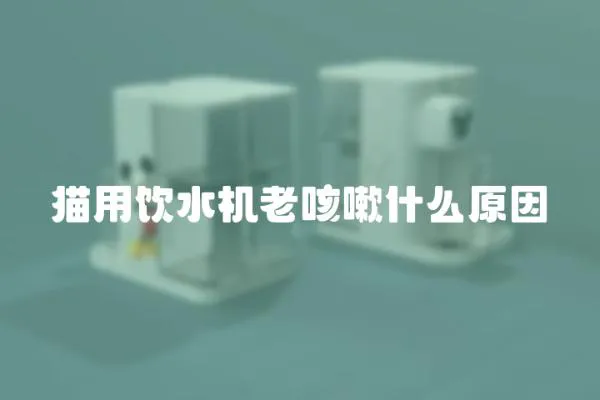 貓用飲水機老咳嗽什么原因