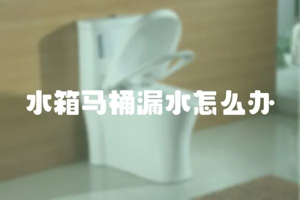 水箱馬桶漏水怎么辦