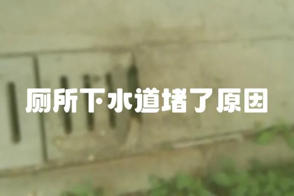 廁所下水道堵了原因