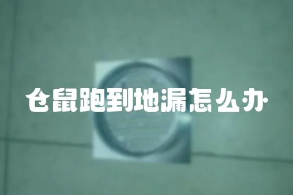 倉鼠跑到地漏怎么辦