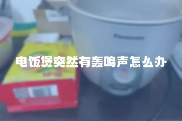 電飯煲突然有轟鳴聲怎么辦