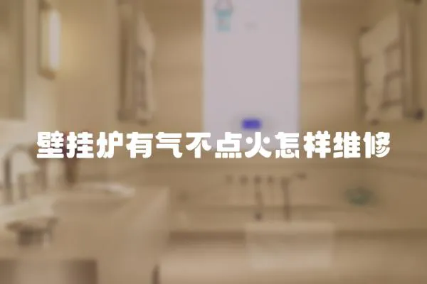 壁掛爐有氣不點火怎樣維修