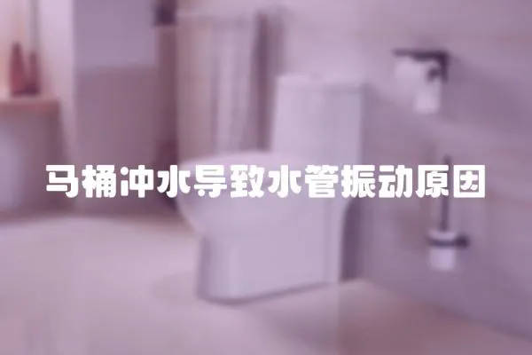 馬桶沖水導致水管振動原因
