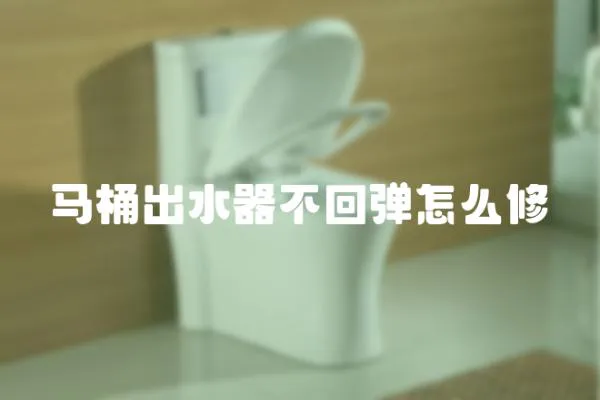 馬桶出水器不回彈怎么修