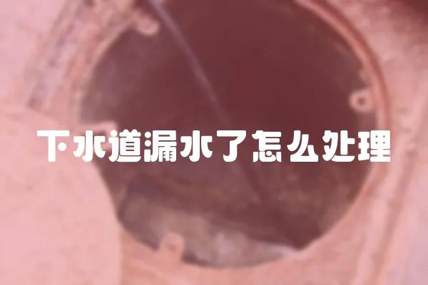 下水道漏水了怎么處理