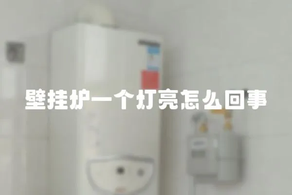 壁掛爐一個(gè)燈亮怎么回事