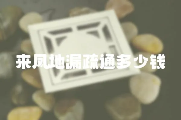 來鳳地漏疏通多少錢