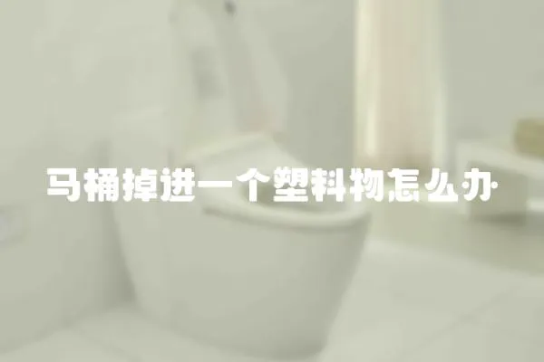 馬桶掉進一個塑料物怎么辦