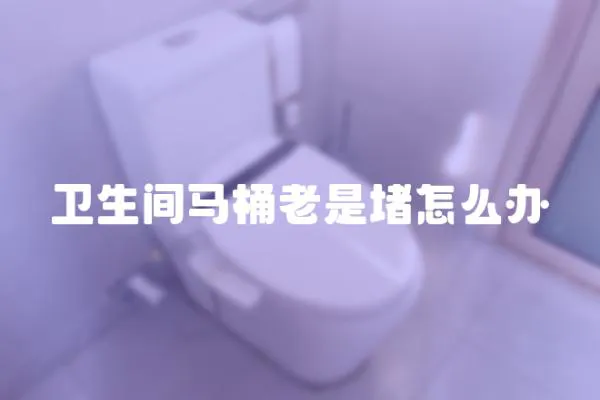 衛(wèi)生間馬桶老是堵怎么辦