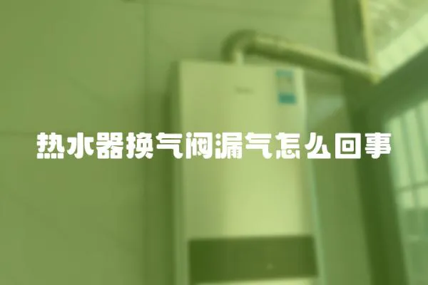 熱水器換氣閥漏氣怎么回事