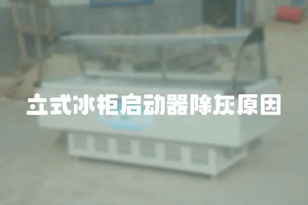 立式冰柜啟動器除灰原因