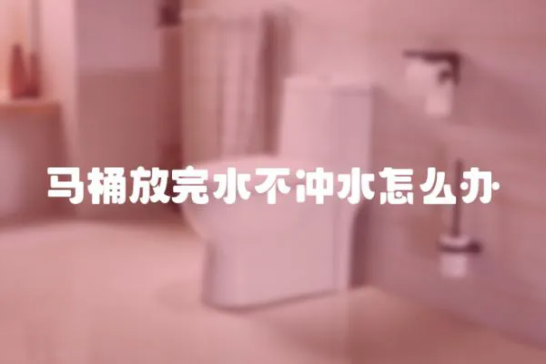 馬桶放完水不沖水怎么辦