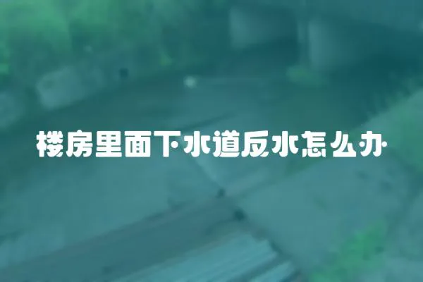 樓房里面下水道反水怎么辦