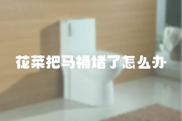 花菜把馬桶堵了怎么辦
