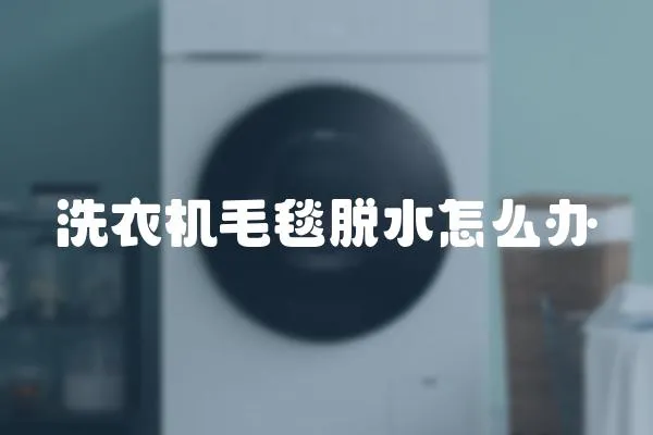 洗衣機(jī)毛毯脫水怎么辦