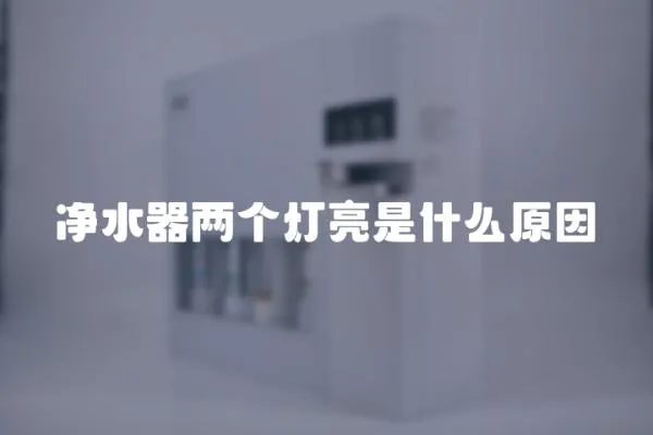 凈水器兩個燈亮是什么原因