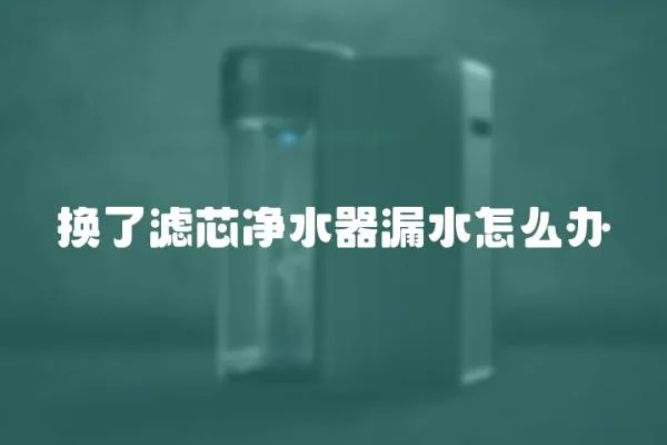 換了濾芯凈水器漏水怎么辦