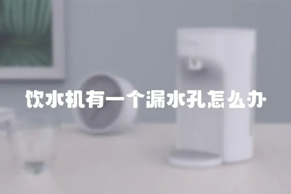 飲水機(jī)有一個(gè)漏水孔怎么辦