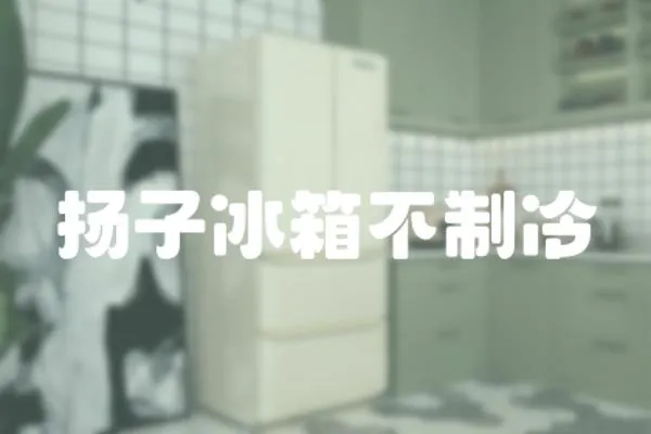 揚子冰箱不制冷