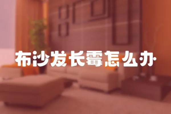 布沙發長霉怎么辦