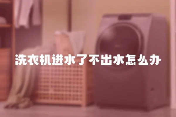 洗衣機進水了不出水怎么辦