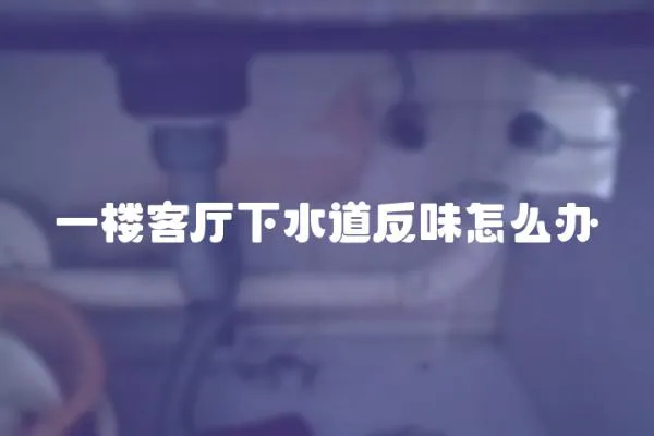 一樓客廳下水道反味怎么辦