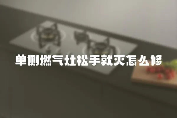 單側(cè)燃?xì)庠钏墒志蜏缭趺葱?></a></div>
                    <div   id=