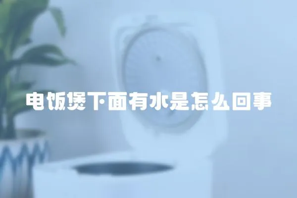 電飯煲下面有水是怎么回事