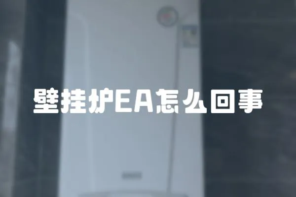 壁掛爐EA怎么回事
