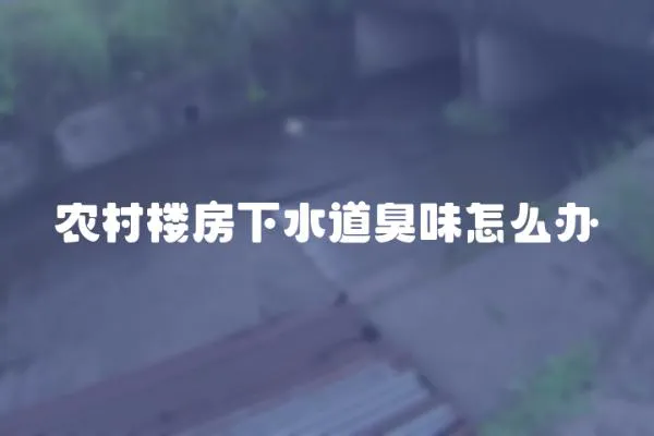 農村樓房下水道臭味怎么辦