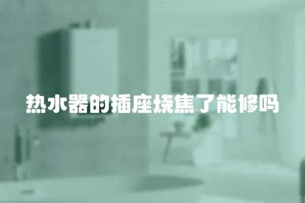 熱水器的插座燒焦了能修嗎