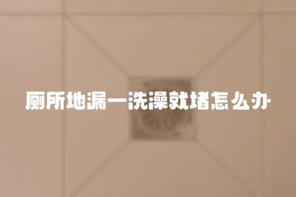 廁所地漏一洗澡就堵怎么辦