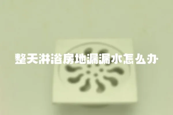 整天淋浴房地漏漏水怎么辦