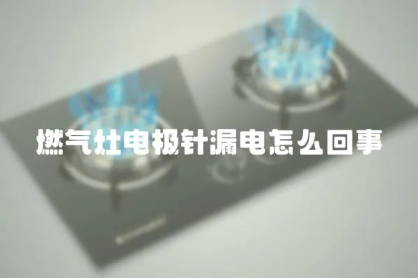 燃?xì)庠铍姌O針漏電怎么回事