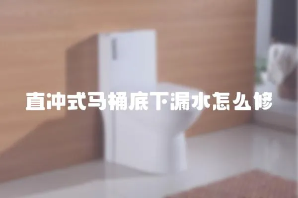 直沖式馬桶底下漏水怎么修