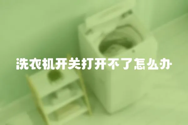 洗衣機(jī)開(kāi)關(guān)打開(kāi)不了怎么辦
